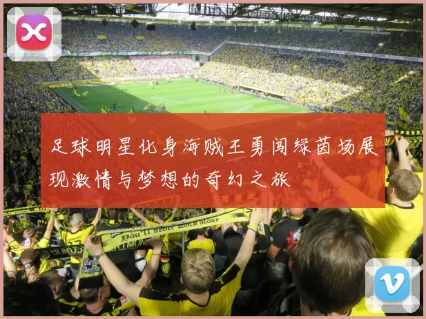 足球明星化身海贼王勇闯绿茵场展现激情与梦想的奇幻之旅