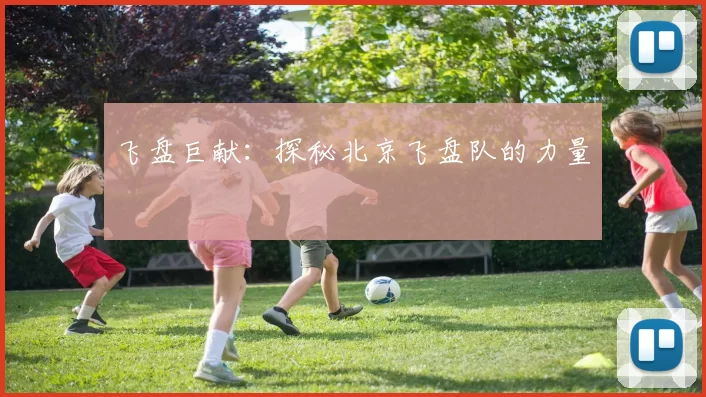 飞盘巨献：探秘北京飞盘队的力量
