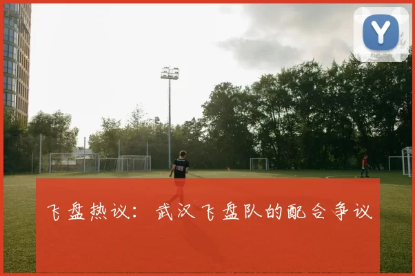 飞盘热议：武汉飞盘队的配合争议