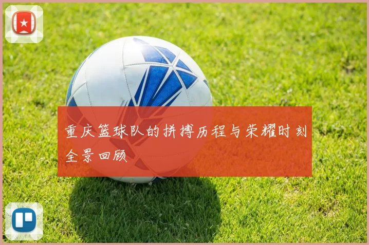 重庆篮球队的拼搏历程与荣耀时刻全景回顾