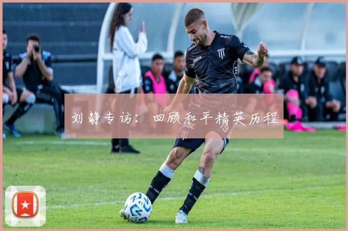 刘静专访：回顾和平精英历程