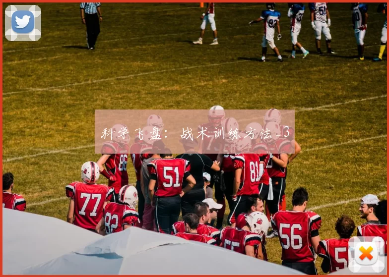 科学飞盘：战术训练方法_3